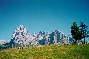 Seiseralm mit Langkofel im Sommer