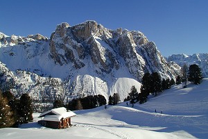 Seceda mit Stevia im Winter